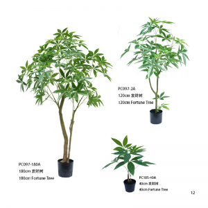 ต้นไม้แห่งโชคลาภ