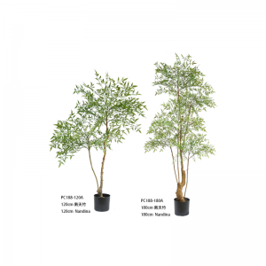 นานเดียน